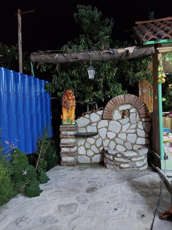 Guest House Iura Signagi Exterior foto